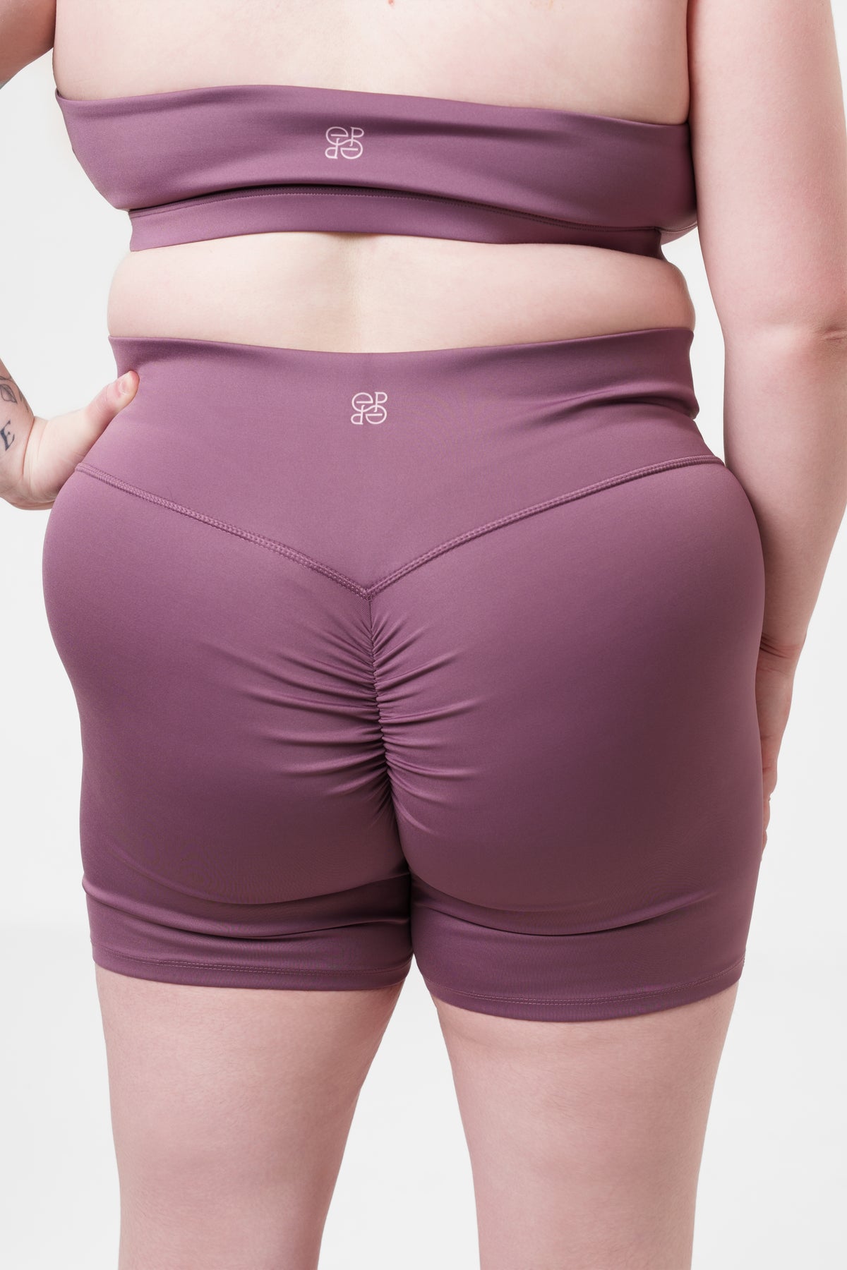 color:amethyst_size:xl